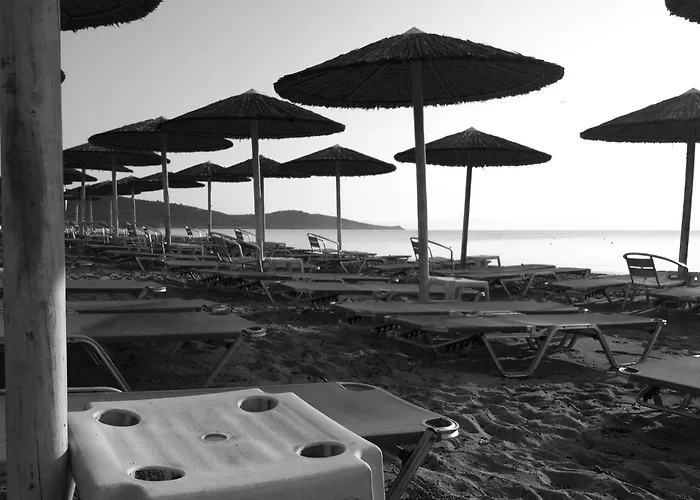 Thalassa Boutique 2* سارتي